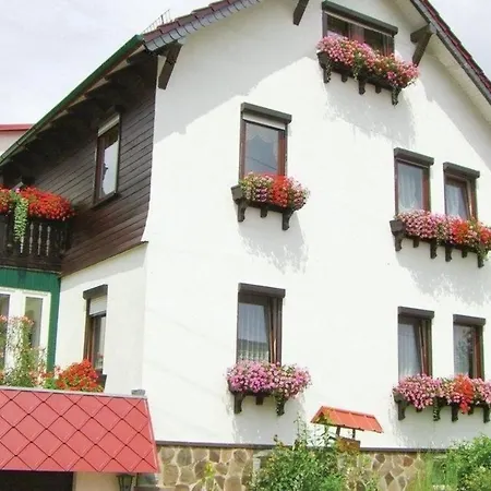 Apartment Ferienwohnung Siegmund *